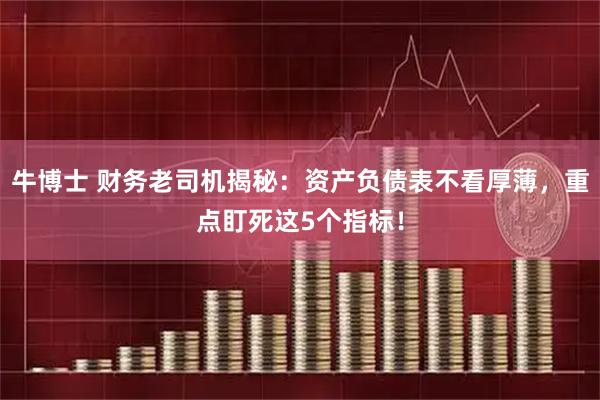 牛博士 财务老司机揭秘：资产负债表不看厚薄，重点盯死这5个指标！