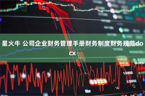 星火牛 公司企业财务管理手册财务制度财务规范docx