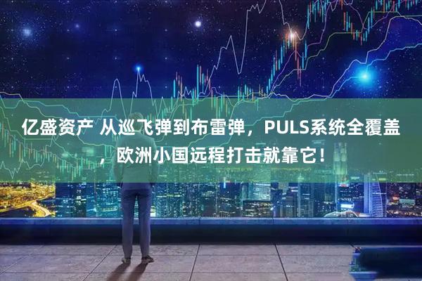亿盛资产 从巡飞弹到布雷弹，PULS系统全覆盖，欧洲小国远程打击就靠它！